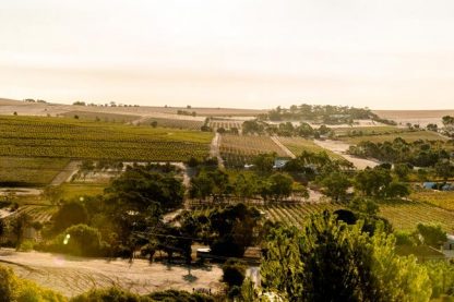 Seppeltsfield-Barossa-landscape-feature