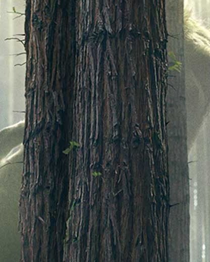 Disney-Petes-Dragon-Teaser-Poster-feature