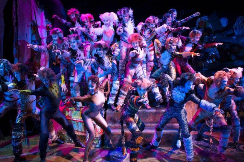 Reviews for Andrew Lloyd Webber's Cats