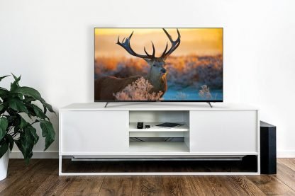 prism-plus-e55-4k-smart-tv