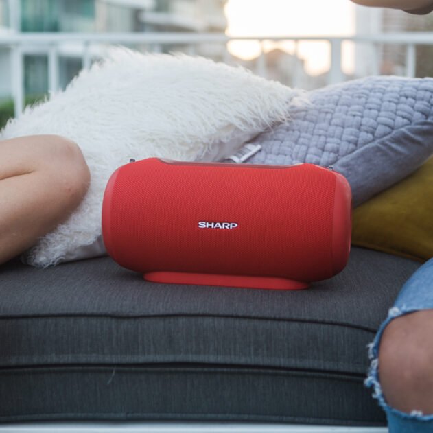 Sharp-GX-BT480_portable-bluetooth-speaker-feature