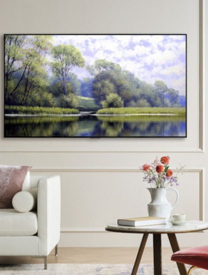 LG-OLED-evo-Wall-Mount