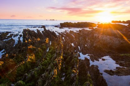 1) Meditate with Mindful Journeys (Credit_ Tourism New Zealand)