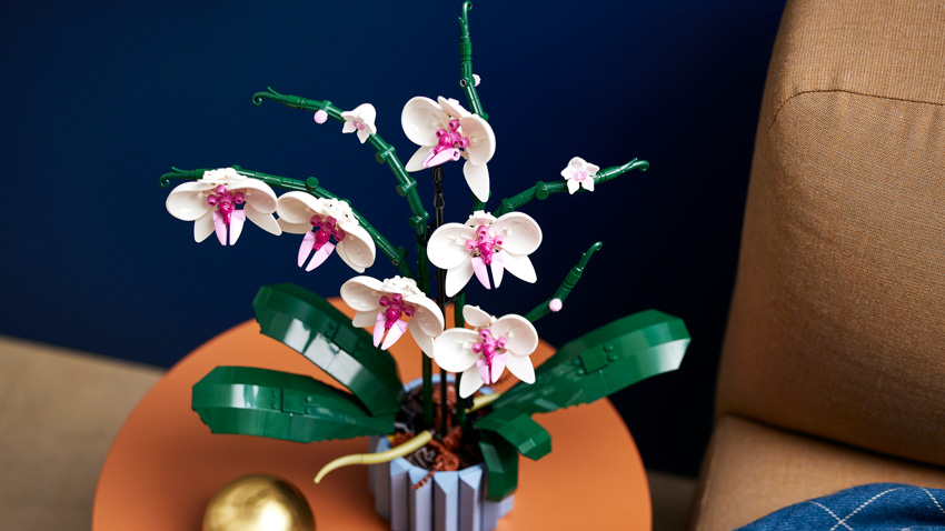 LEGO-Botanical-Collection---LEGO-Orchid-24