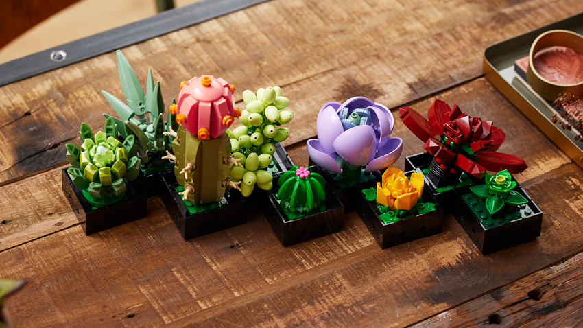 LEGO-Botanical-Collection---LEGO-Succulents-5