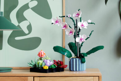 LEGO-Botanical-Collection-feature
