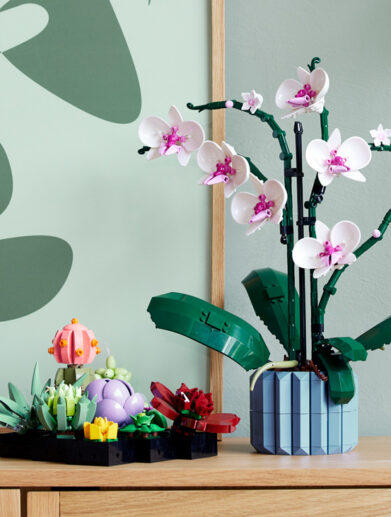 LEGO-Botanical-Collection-feature