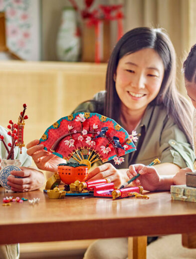 80117-LEGO-Good-Fortune_Lifestyle-(3)